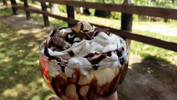 Deliciosa taça de Sonho de Valsa!