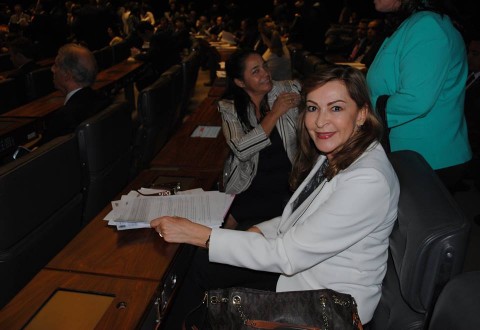 Deputada Federal Dâmina em Plenário. Foto: Assessoria de Imprensa